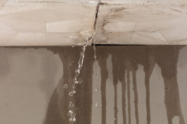 Professional Burst Pipe Cleanup technician working in Homer, MI